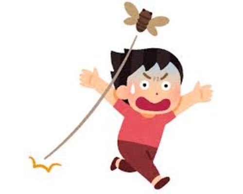 せみ