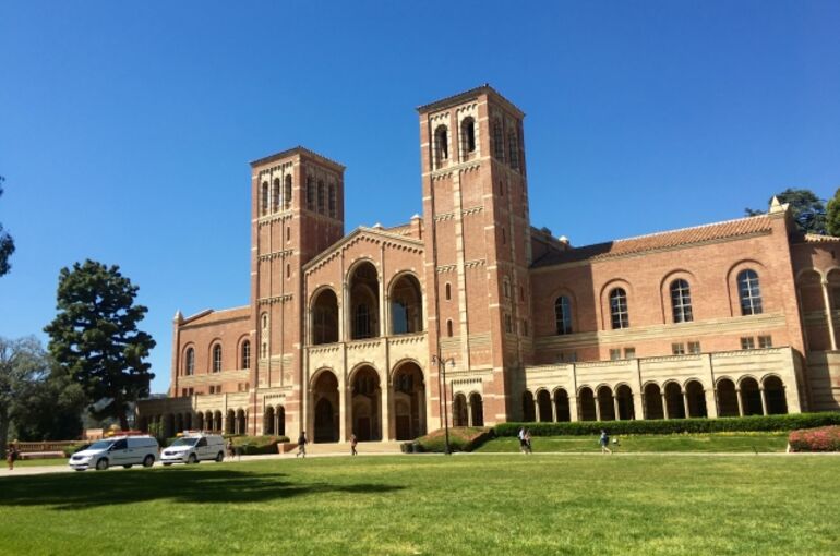 大学